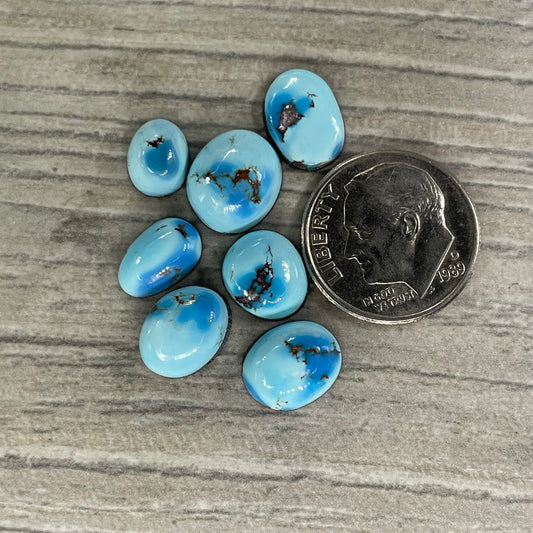 Golden Hill Minis