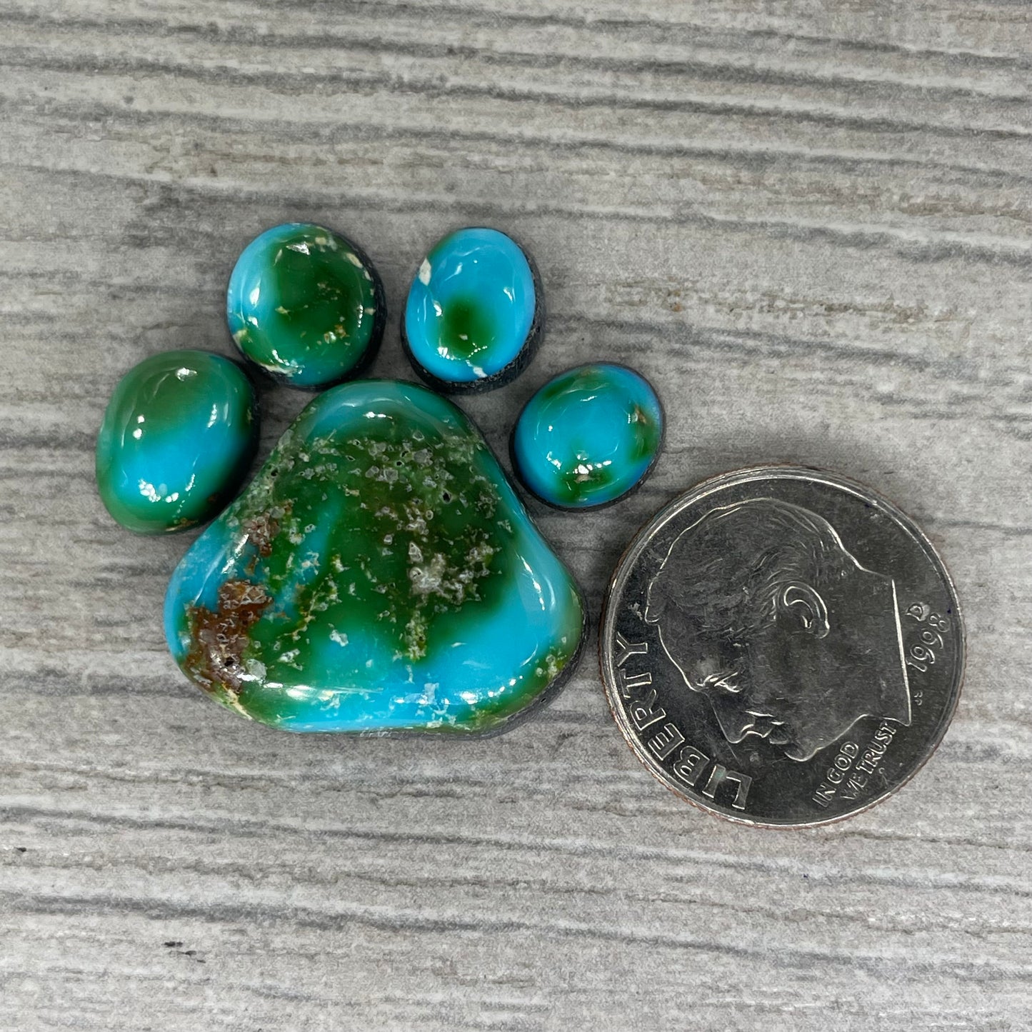 Sonoran Mountain Paw