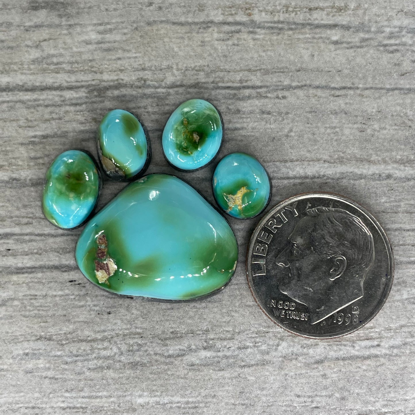 Sonoran Mountain Paw