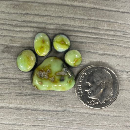 Palomino Paw