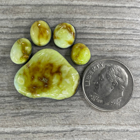 Palomino Paw Set