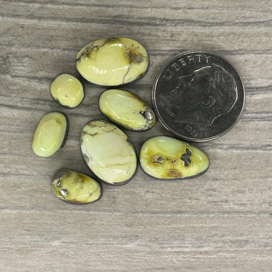 Palomino Minis
