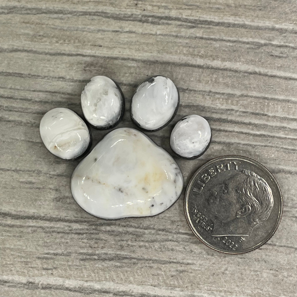 White Buffalo Paw