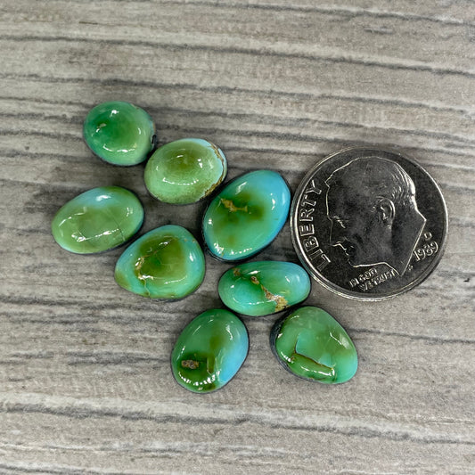 Sierra Bella Minis