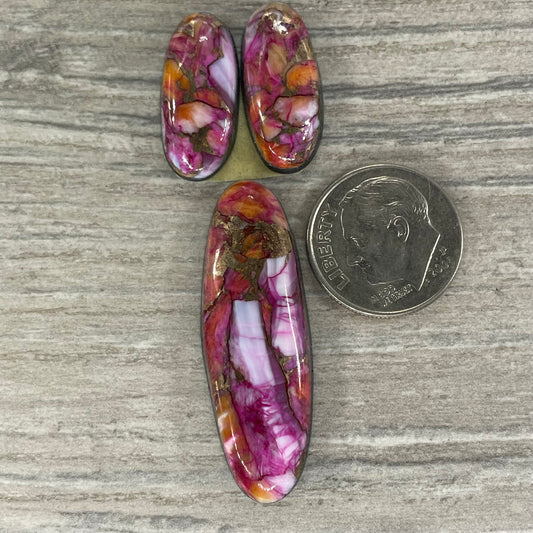 Starburst Spiny Oyster