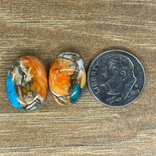 Orange Spiny Turquoise