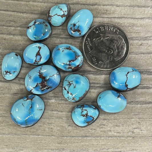 Golden Hill Minis