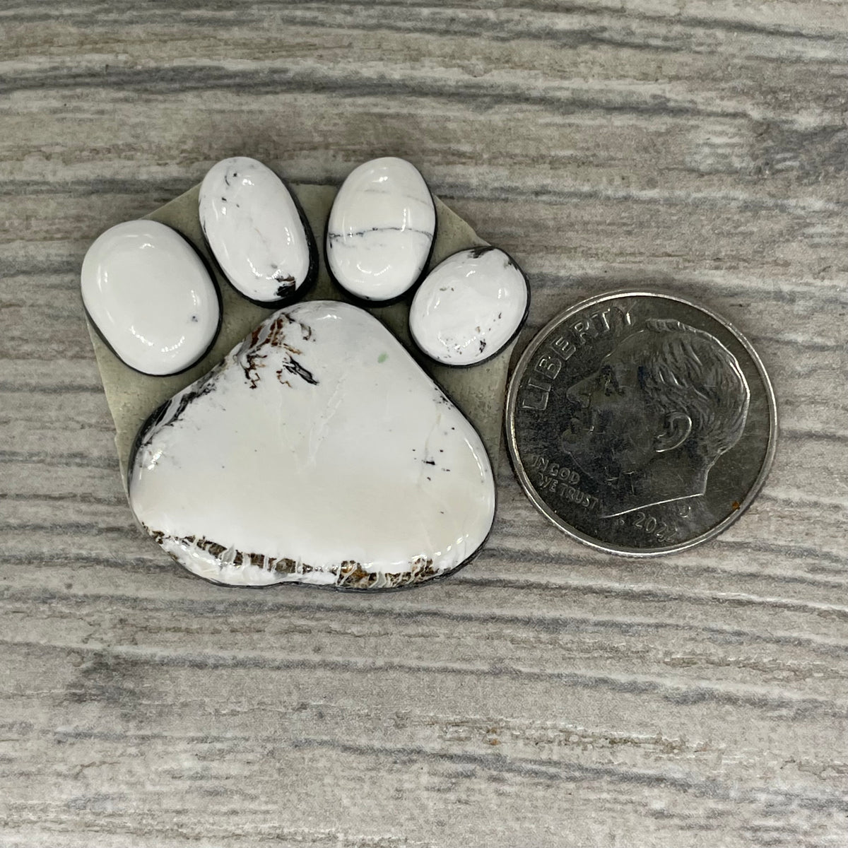 White Buffalo Paw