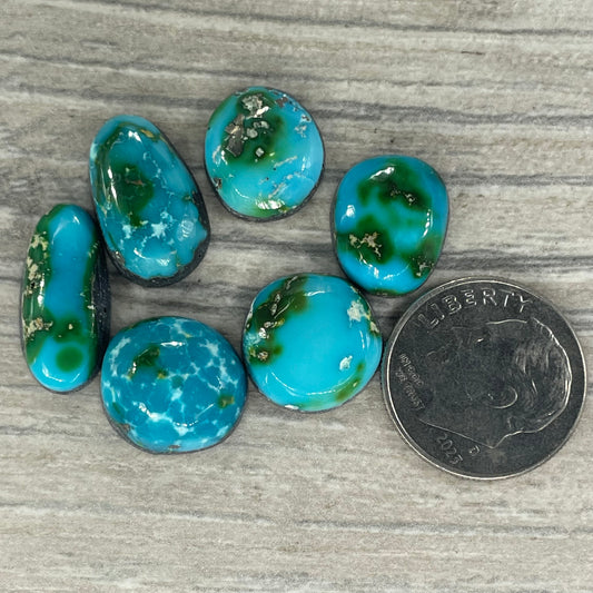 Sonoran Mountain Minis
