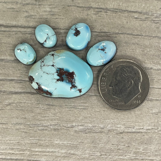 Golden Hill Paw