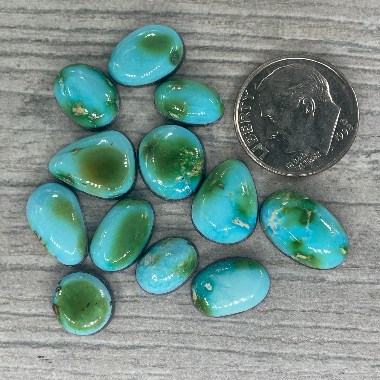 Sonoran Mountain Minis