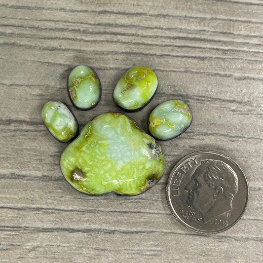 Palomino Paw Set