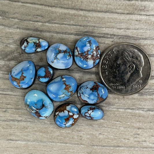 Golden Hill Minis