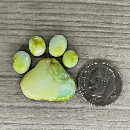 Palomino Paw Set