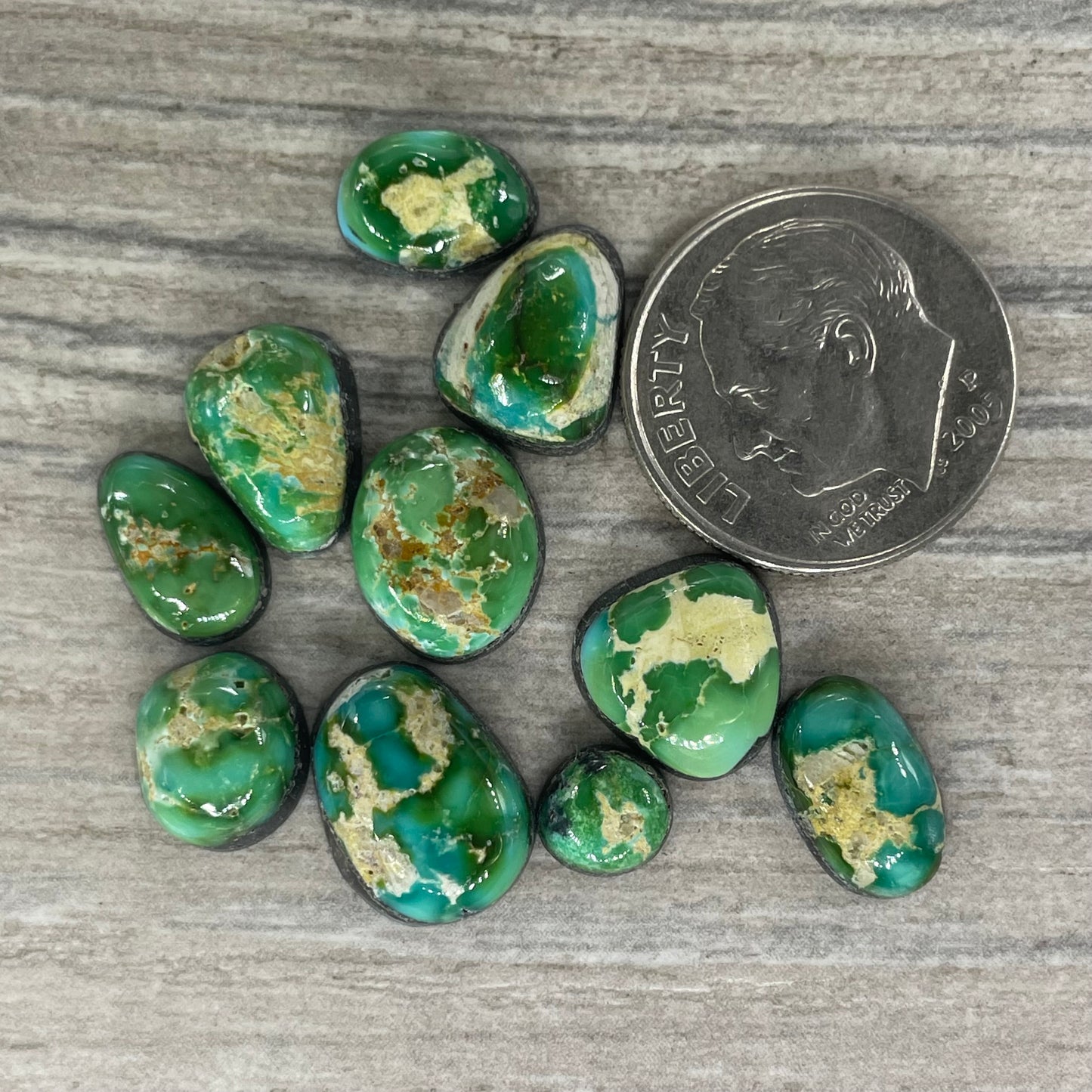 Sonoran Mountain Minis