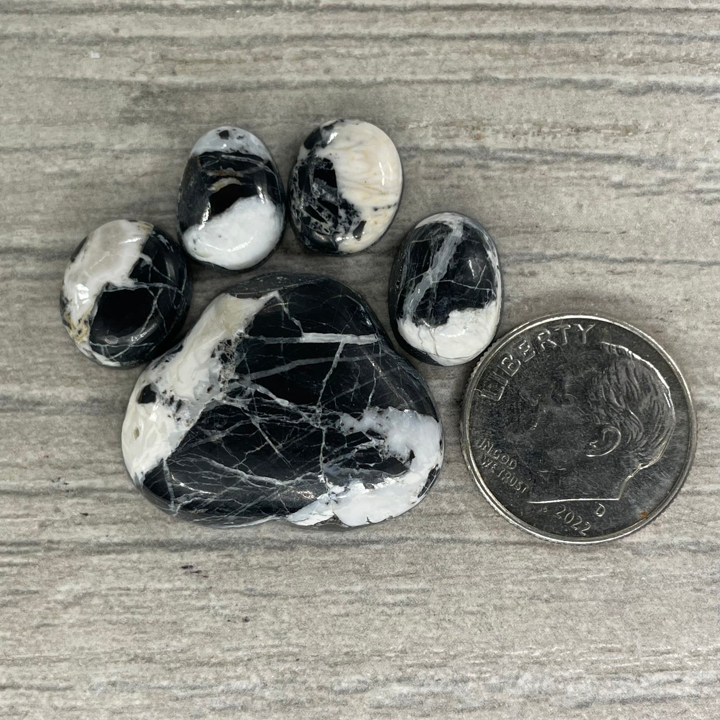 White Buffalo Paw