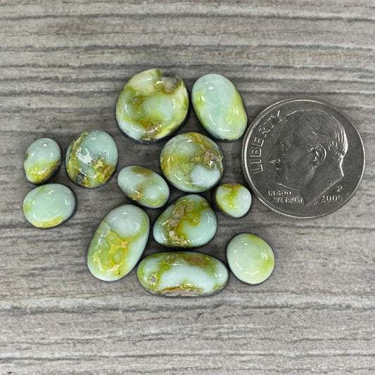 Palomino Minis