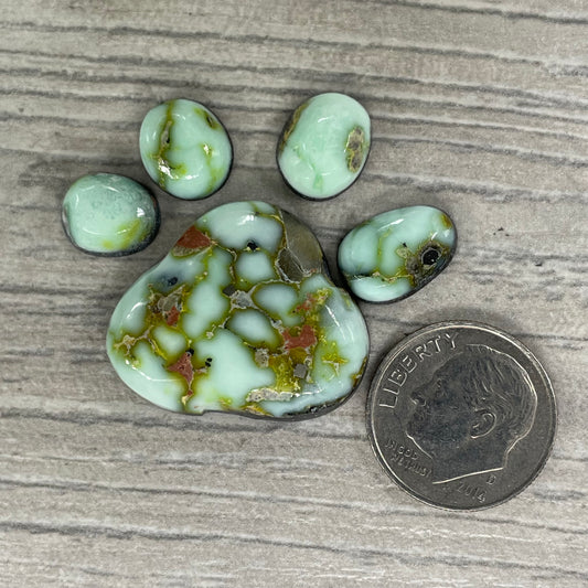 Palomino Paw Set