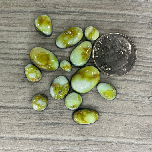 Palomino Minis