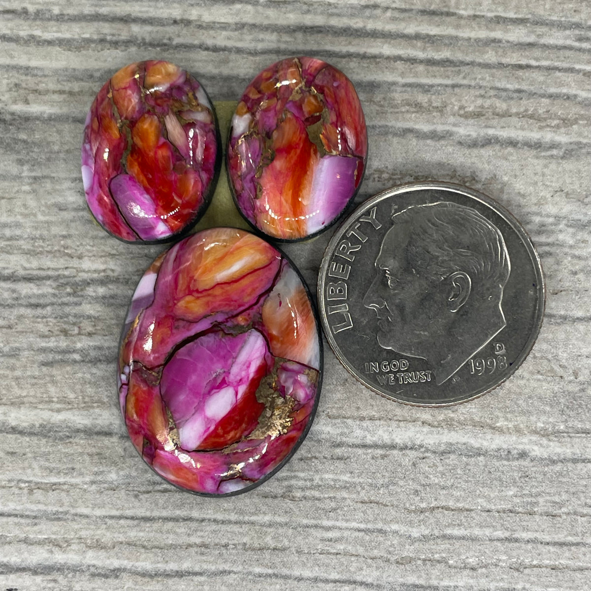 Starburst Spiny Oyster