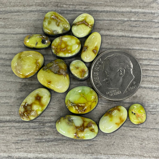 Palomino Minis