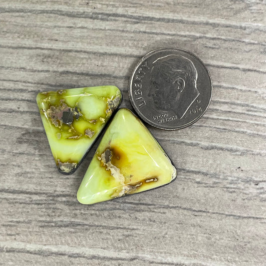 Palomino Triangles