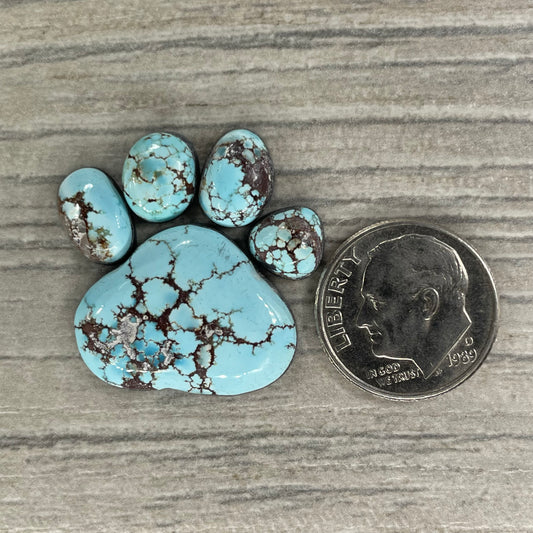 Golden Hill Paw
