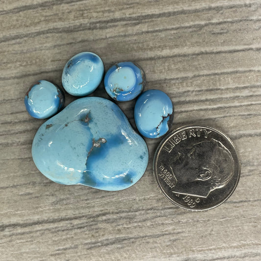 Golden Hill Paw