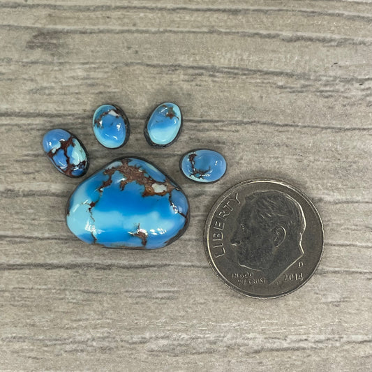 Golden Hill Paw