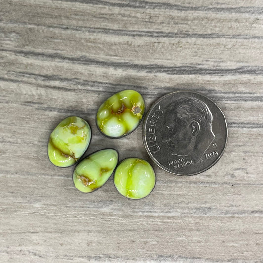 Palomino Minis