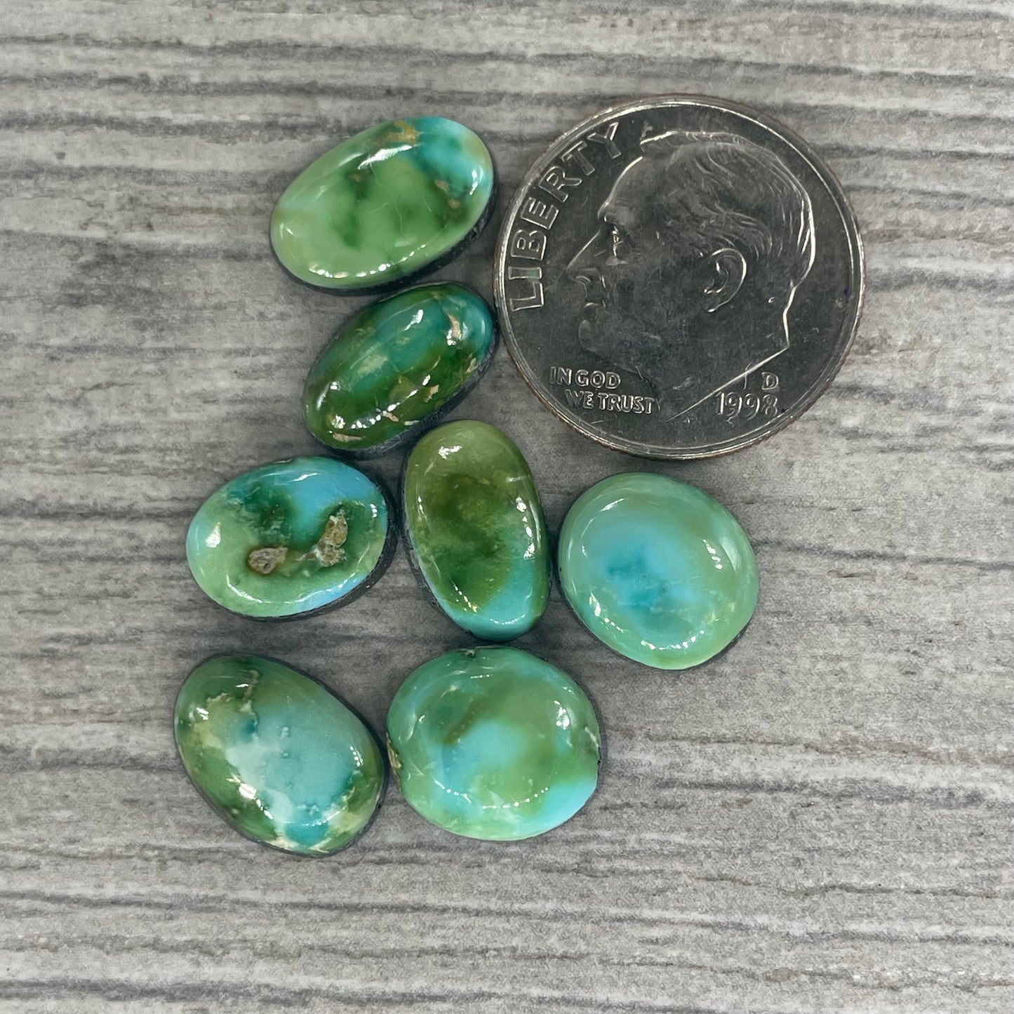 Sonoran Mountain Minis