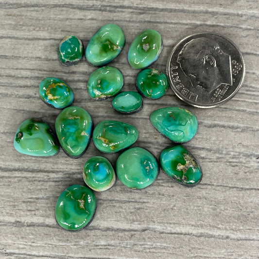 Sierra Bella Minis