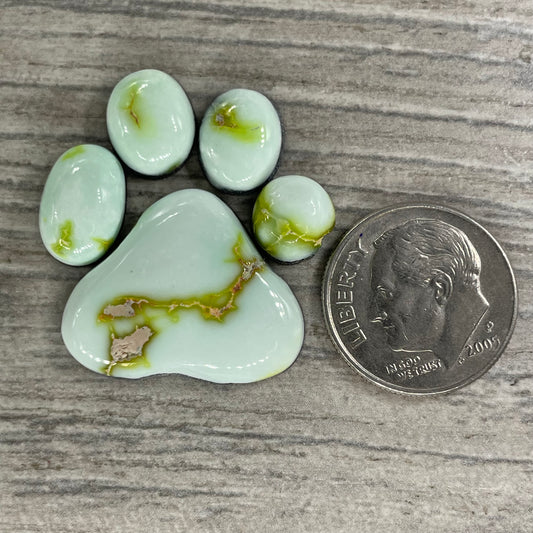 Palomino Paw Set