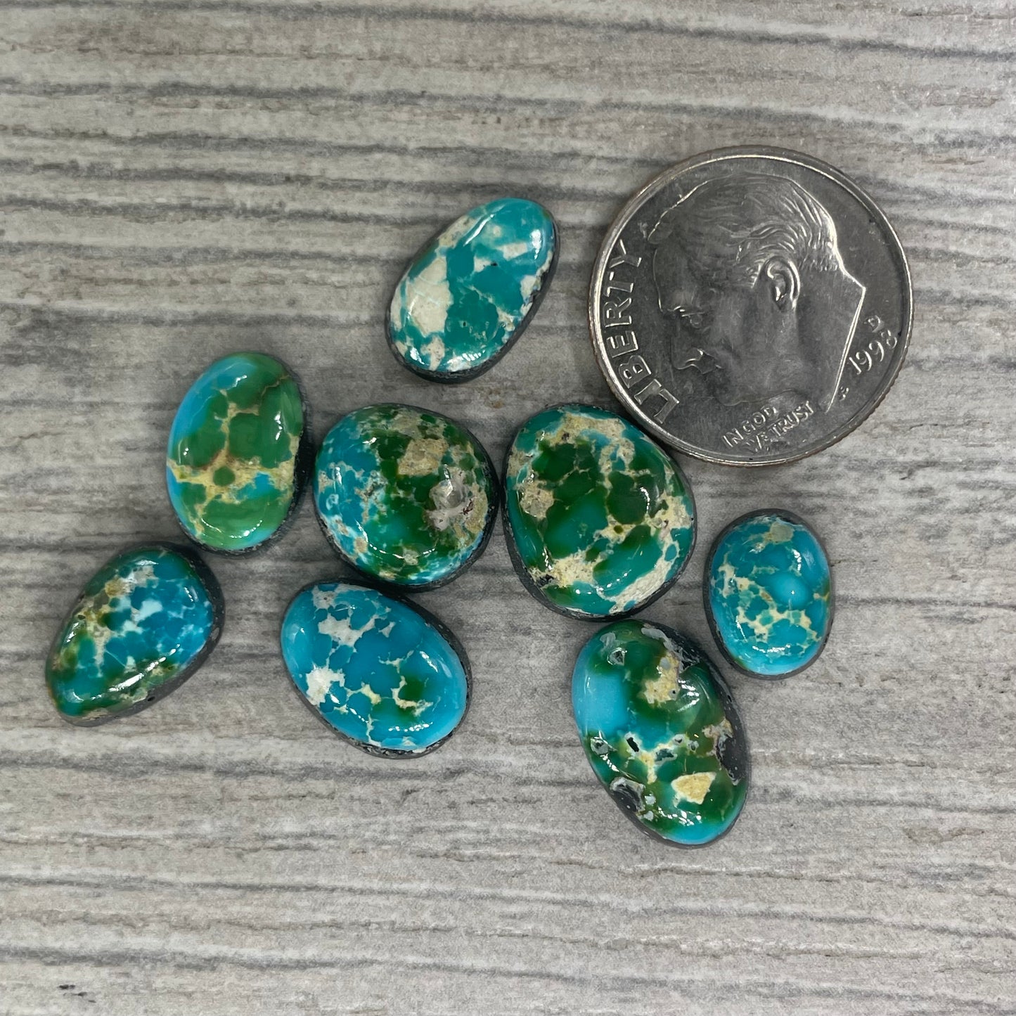 Sonoran Mountain Minis