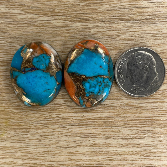 Orange Spiny Turquoise