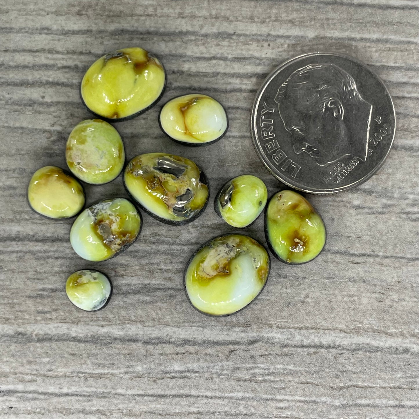 Palomino Minis