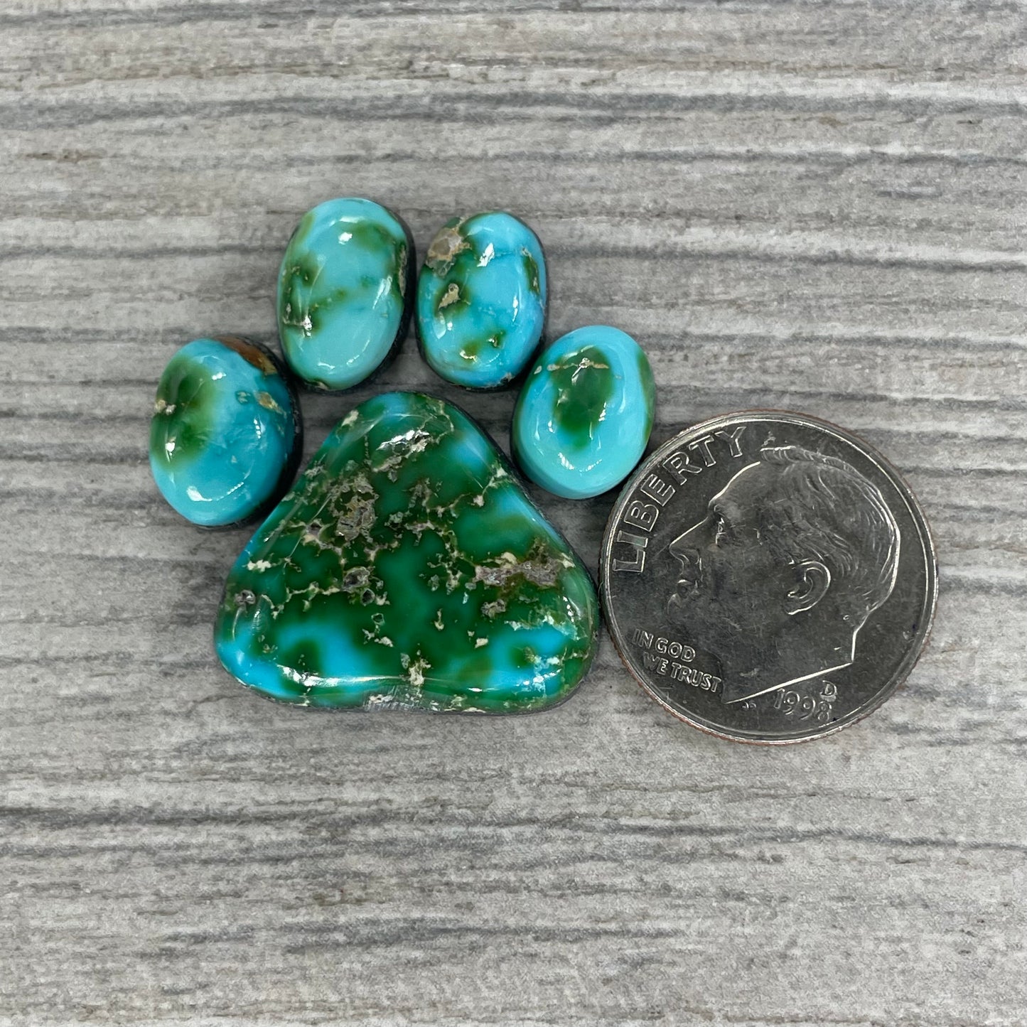 Sonoran Mountain Paw