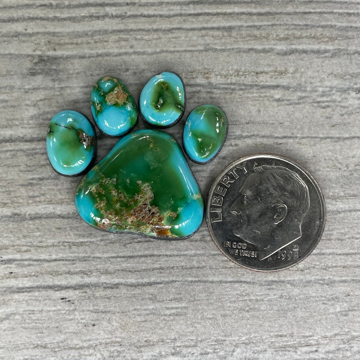 Sonoran Mountain Paw