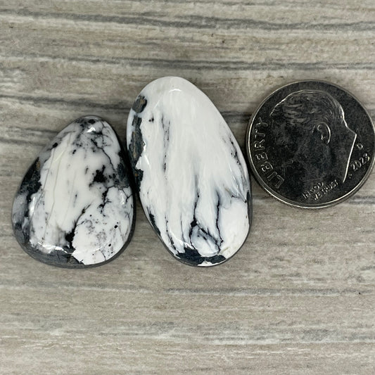 White Buffalo