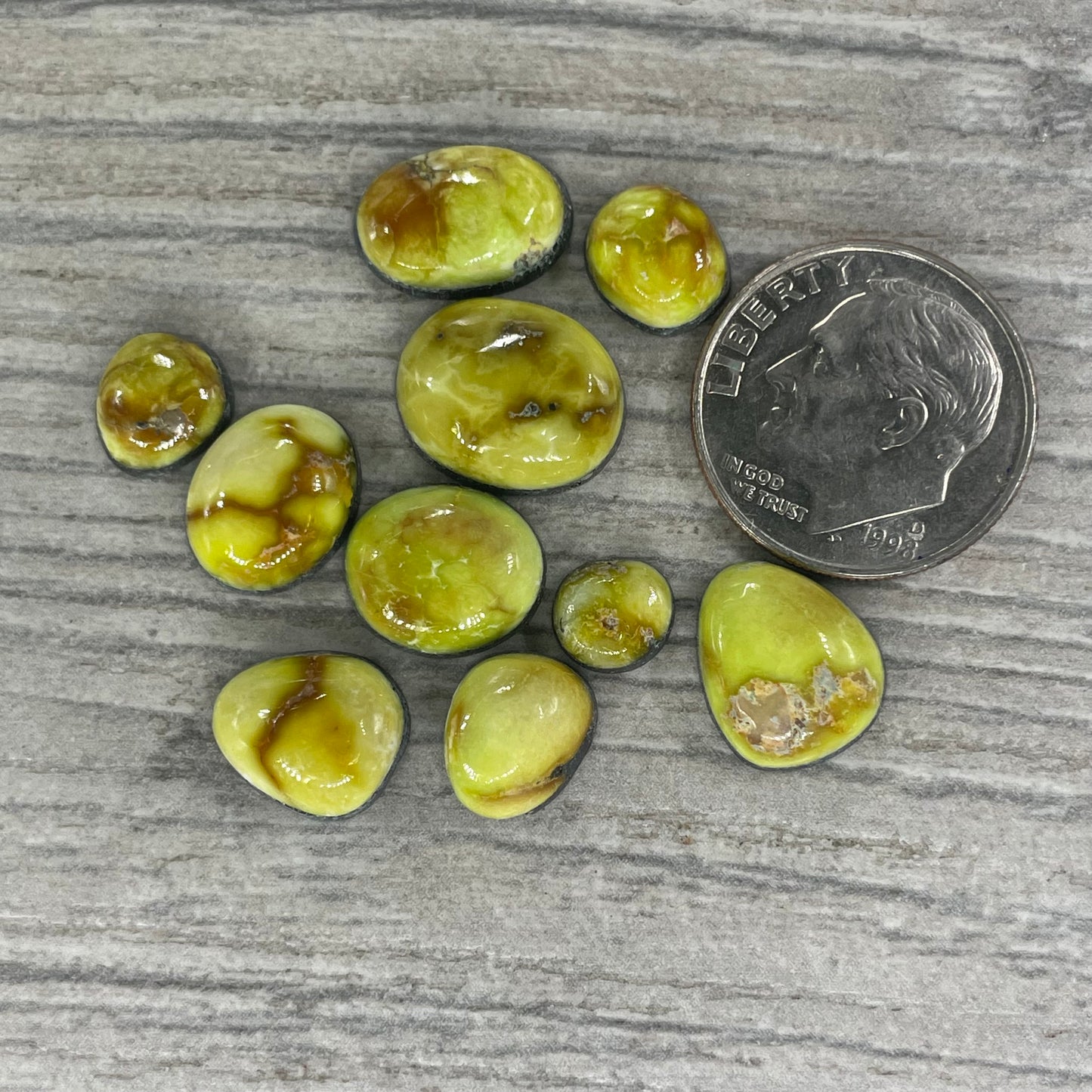Palomino Minis