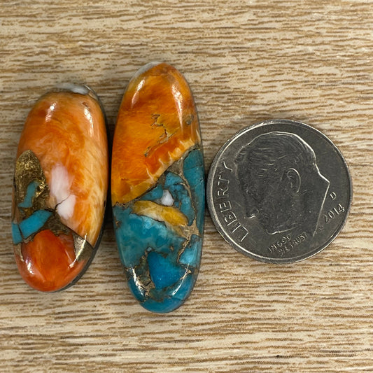 Orange Spiny Turquoise
