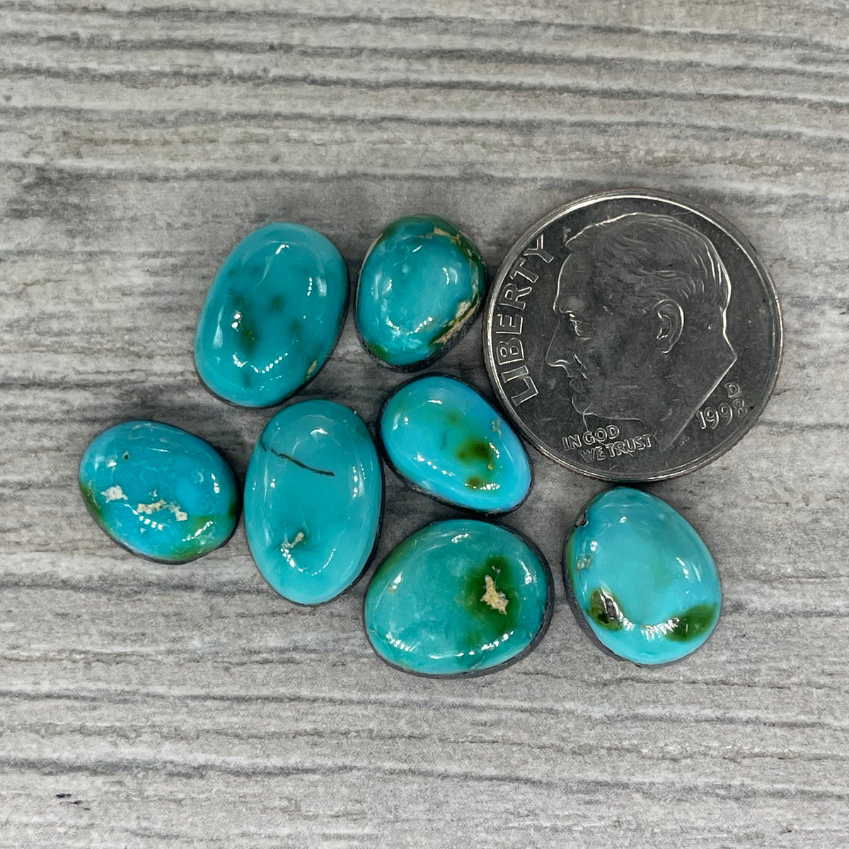 Sonoran Mountain Minis