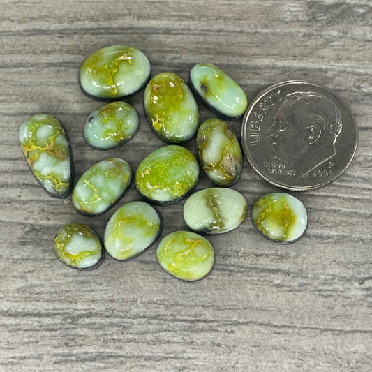 Palomino Minis