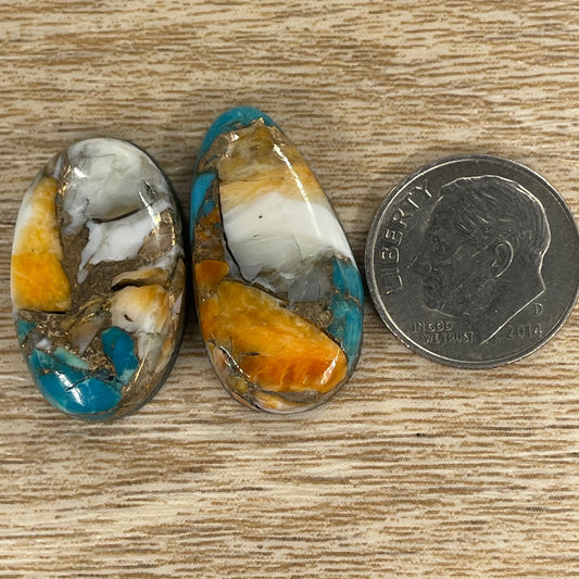 Orange Spiny Turquoise