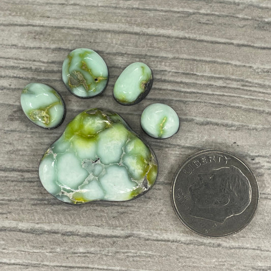 Palomino Paw Set