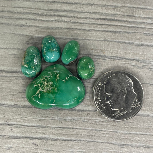 Emerald Valley Paw