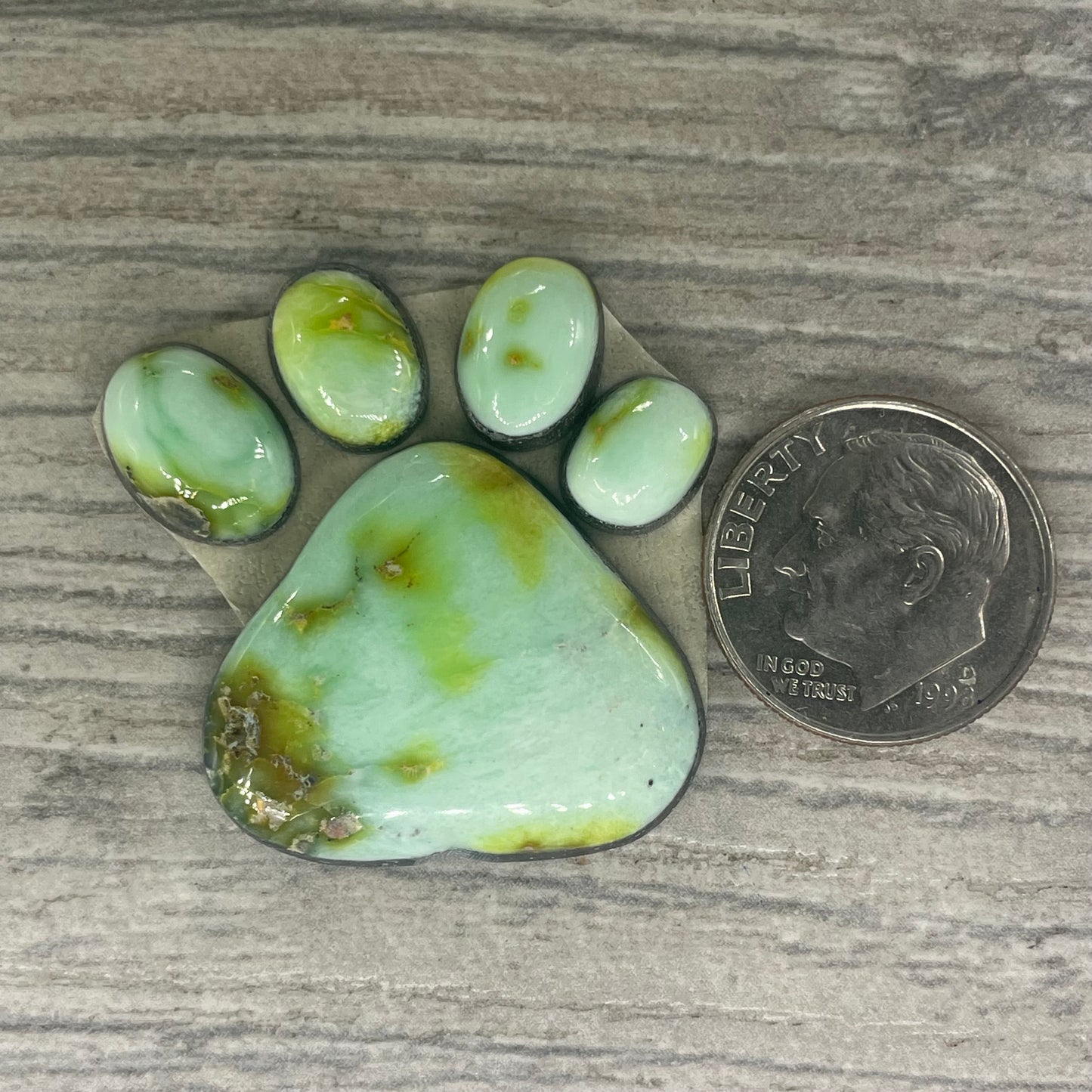 Palomino Paw