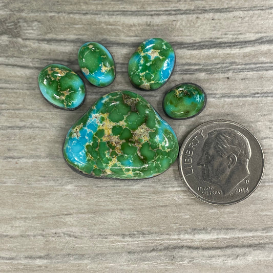 Sierra Bella Paw