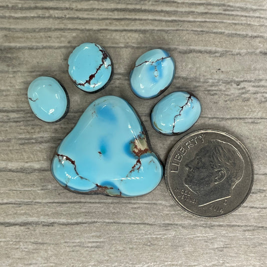 Golden Hill Paw