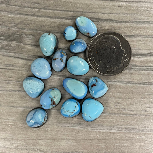 Golden Hill Minis